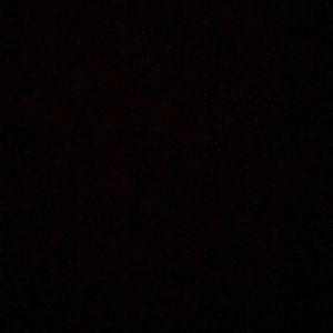 Meet your Posher, Bradley